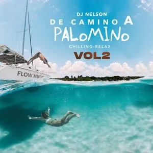 Pochette de De camino a Palomino, vol. 2 de DJ Nelson