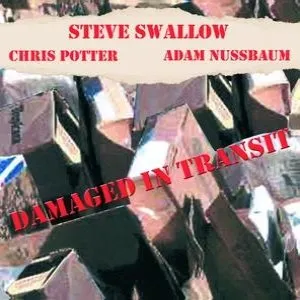 Pochette de Damaged in Transit de Chris Potter - Adam Nussbaum - Steve Swallow