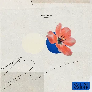 Pochette de Home de Bill Ryder-Jones