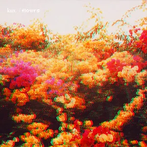 Pochette de Flowrs.EP de Knxwledge