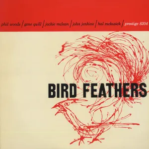 Pochette Bird Feathers