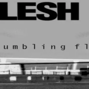Pochette de Crumbled Flesh de Godflesh