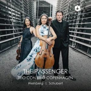 Pochette de The Passenger de Franz Schubert