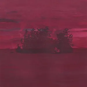 Pochette The Besnard Lakes Are the Divine Wind