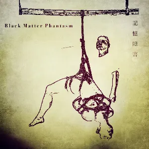 Pochette de 記 憶 障 害 de Black Matter Phantasm
