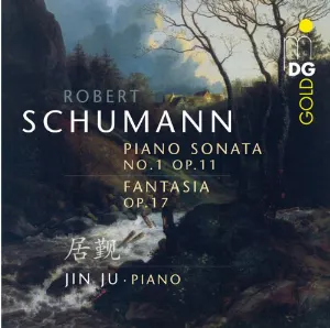 Pochette Piano Sonata no. 1, op. 11 / Fantasia op. 17