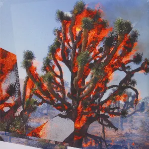 Pochette de Face Time de Oren Ambarchi