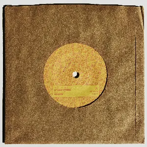 Pochette de Shane de Fruit Bats