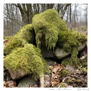 Pochette de Kom i min famn de bob hund