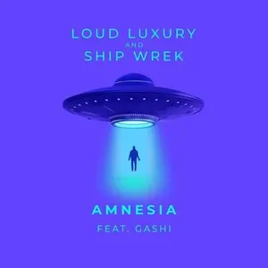 Pochette de Amnesia de Ship Wrek