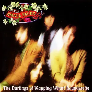 Pochette The Darlings of Wapping Wharf Launderette