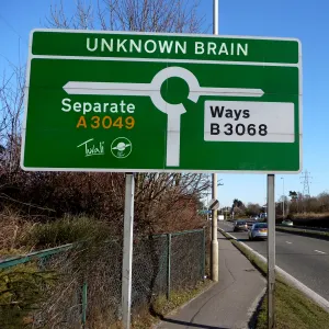 Pochette de Separate Ways de Unknown Brain
