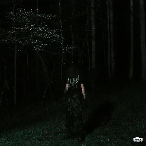 Pochette de If Looks Could Kill² de Destroy Lonely