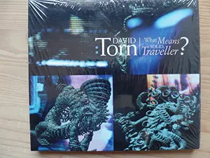 Pochette de What Means Solid, Traveller? de David Torn
