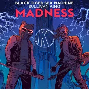 Pochette de Madness de Black Tiger Sex Machine - Sullivan King