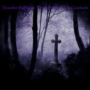 Pochette de Frozen Dreams In The Gravelands de December Nightskies