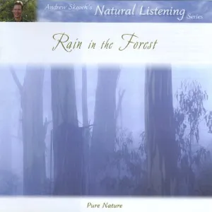 Pochette de Rain in the Forest de Andrew Skeoch