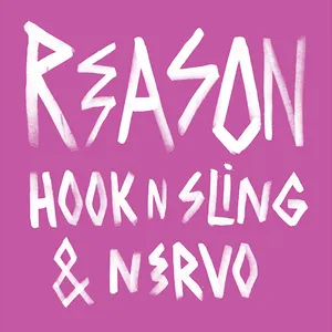 Pochette de Reason de Hook n Sling - NERVO