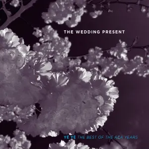 Pochette de Ye Ye: The Best of the RCA Years de The Wedding Present