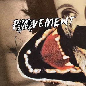 Pochette de Hecklers Choice: Big Gums and Heavy Lifters - A Pavement Collection de Pavement