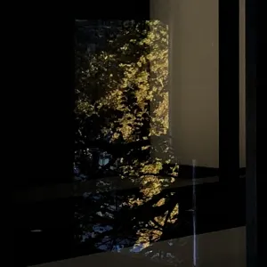 Pochette de 秋風 (Electric Autumn) -Live Recordings- de Ueda Takayasu