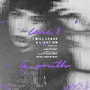 Pochette de I Will Leave a Light On (Sultan + Shepard extended remix) de Le Youth
