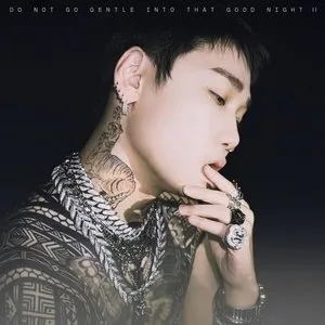 Pochette de Do Not Go Gentle Into That Good Night II de JUSTHIS