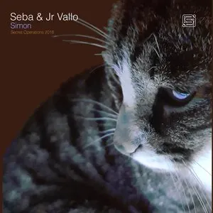 Pochette de Simon / Exit de Seba