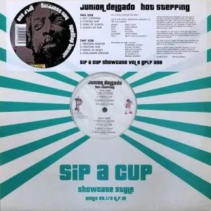 Pochette de Hot Stepping de Junior Delgado