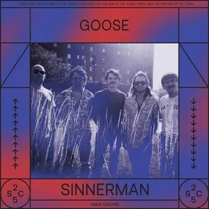 Pochette de Sinnerman de Goose
