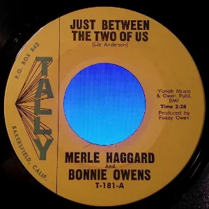 Pochette de Just Between the Two of Us de Merle Haggard