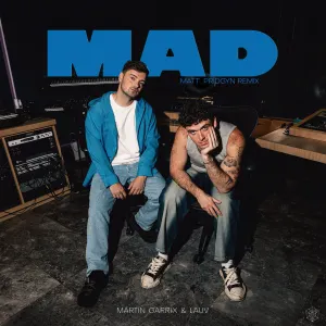 Pochette de MAD (Matt Pridgyn remix) de Martin Garrix - Lauv