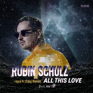 Pochette All This Love (Hook N Sling remix)
