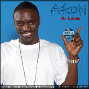 Pochette de No Labels de Akon