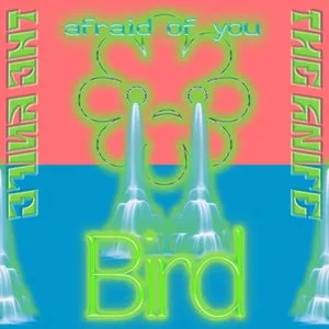 Pochette de Bird / Afraid of You de The Knife