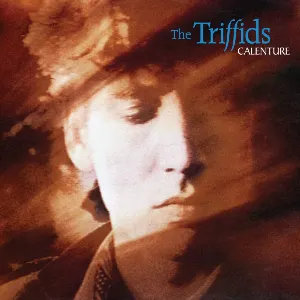 Pochette de Calenture de The Triffids