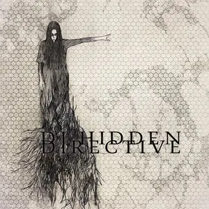 Pochette de Directive de DJ Hidden