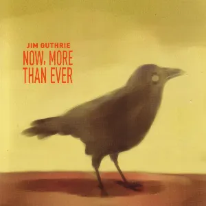 Pochette de Now, More Than Ever de Jim Guthrie