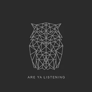 Pochette de Are Ya Listening de DJ Matt Black