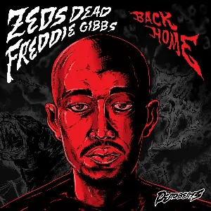 Pochette de Back Home de Zeds Dead