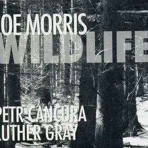 Pochette de Wildlife de Joe Morris