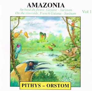 Pochette de Amazonie, Vol. 1 de Pierre Huguet - Olivier Tostain