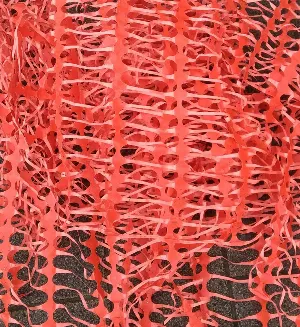 Pochette de Collecting de | RG |