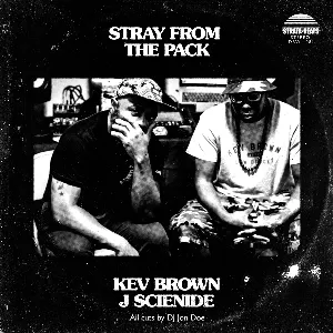 Pochette Stray From the Pack