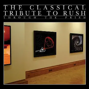 Pochette de Through the Prism: The Classical Tribute to Rush de Vitamin String Quartet