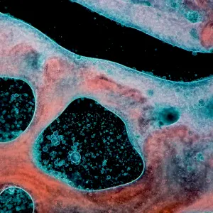 Pochette de By This River de Dieter Moebius - Pascal Schumacher - Brian Eno