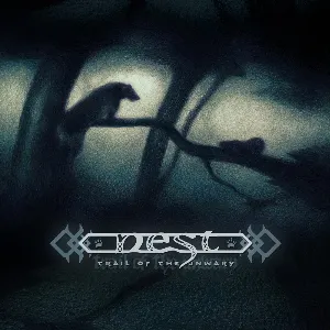 Pochette de Trail of the Unwary de Nest