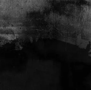 Pochette de we were GHOSTS from the start de and all was bright