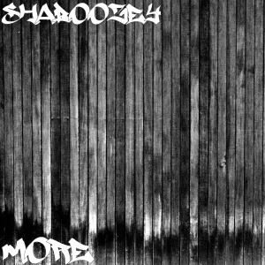 Pochette de More de Shaboozey