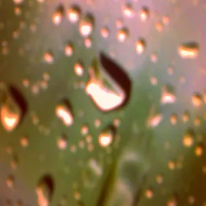 Pochette de Ragen de Ueda Takayasu